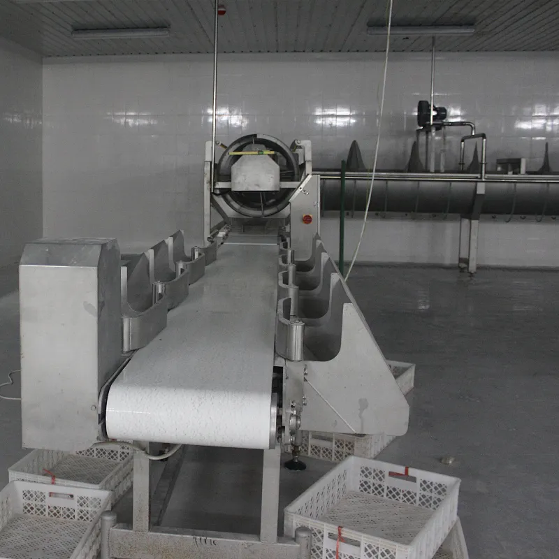 Weighing  & Grading system for poultry chicken processing line Abattoirs plant machinery