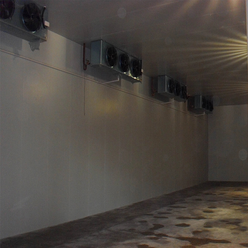 competitive price blast freezer cold room , cold storage for onion potato tomato deep freezing