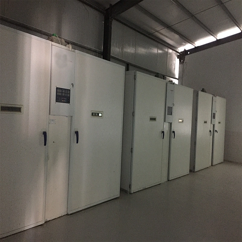 2019 new arrival commercial single-stage best price chicken poultry box type egg incubator for sale with CE approved