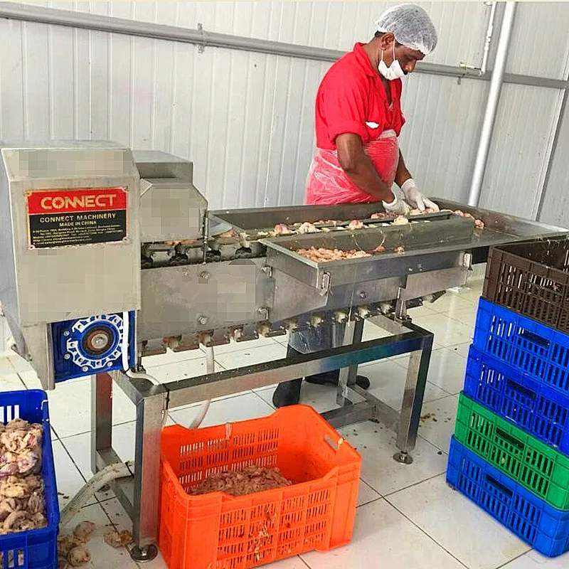 high quality poultry Chicken dressing plant gizzards processing line cutter Machine