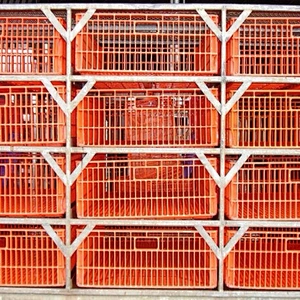 Automatic Crates stack and De-stack machine for Chicken slaughtering house poulry processing line machinery