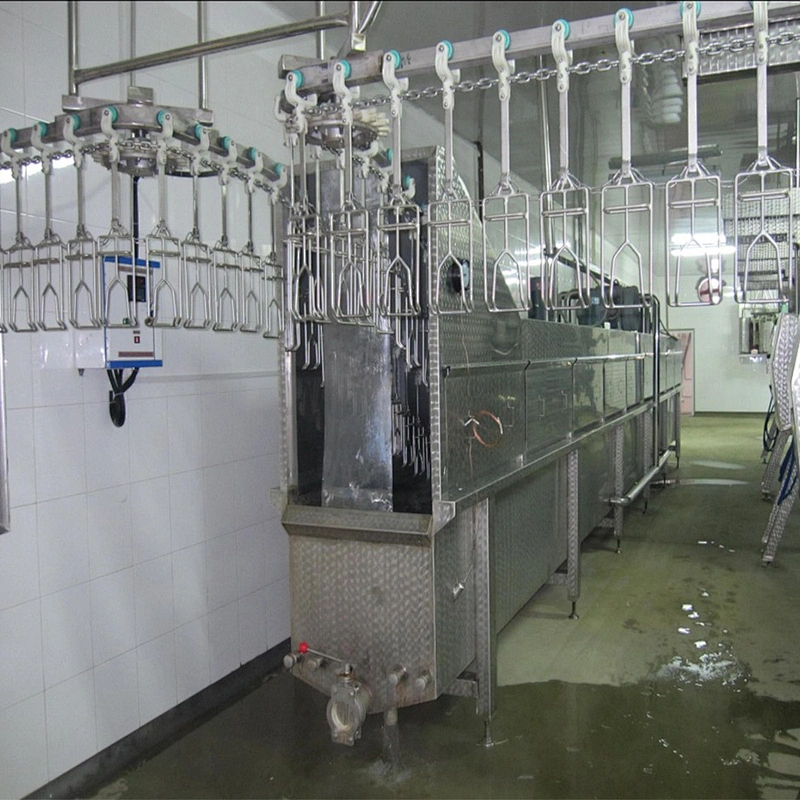 500BPH 1000BPH 2000BPH 3000BPH 6000BPH 12000BPH new stainless steel automatic poultry slaughterhouse conveying line equipment