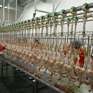 Semi-Automatic Evisceration System for  Chicken  poultry processing line Stainless steel 304 material Quality plucker