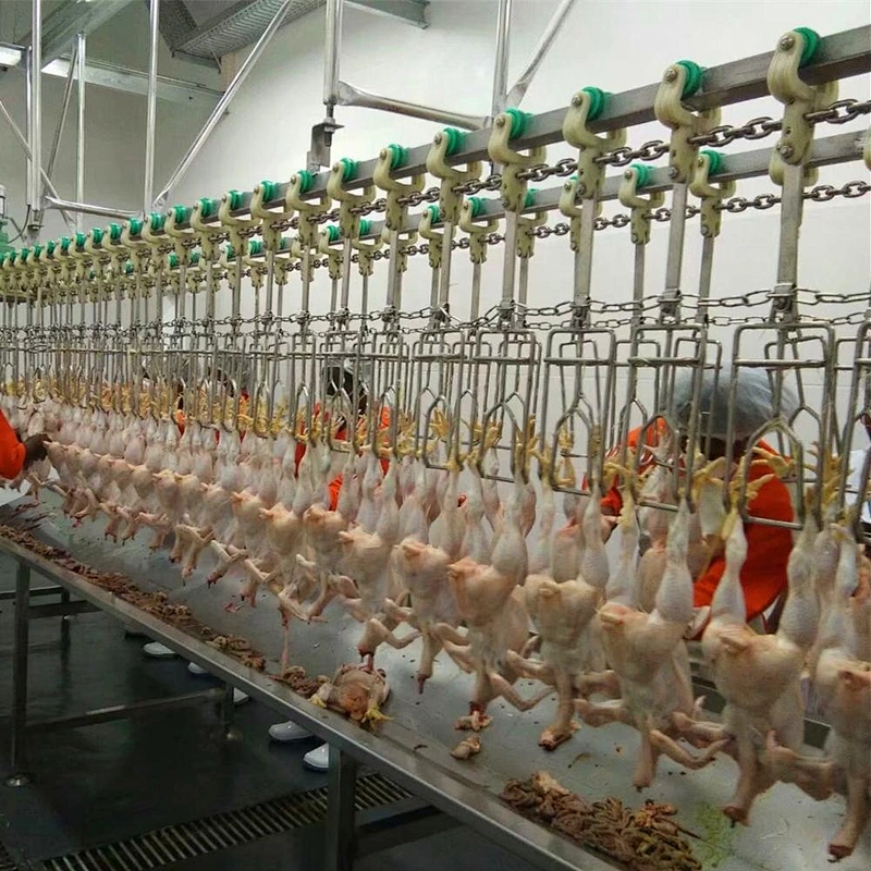 Semi-Automatic Evisceration System for  Chicken  poultry processing line Stainless steel 304 material Quality plucker