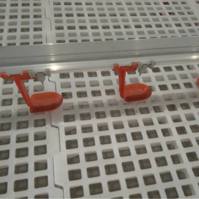 Chicken Shed  Automatic Nipple Drinking System