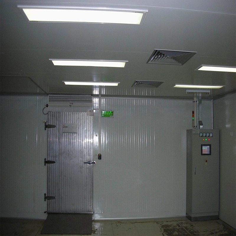 CE proved small mini frozen fish chicken pork duck meat cold storage room equipment