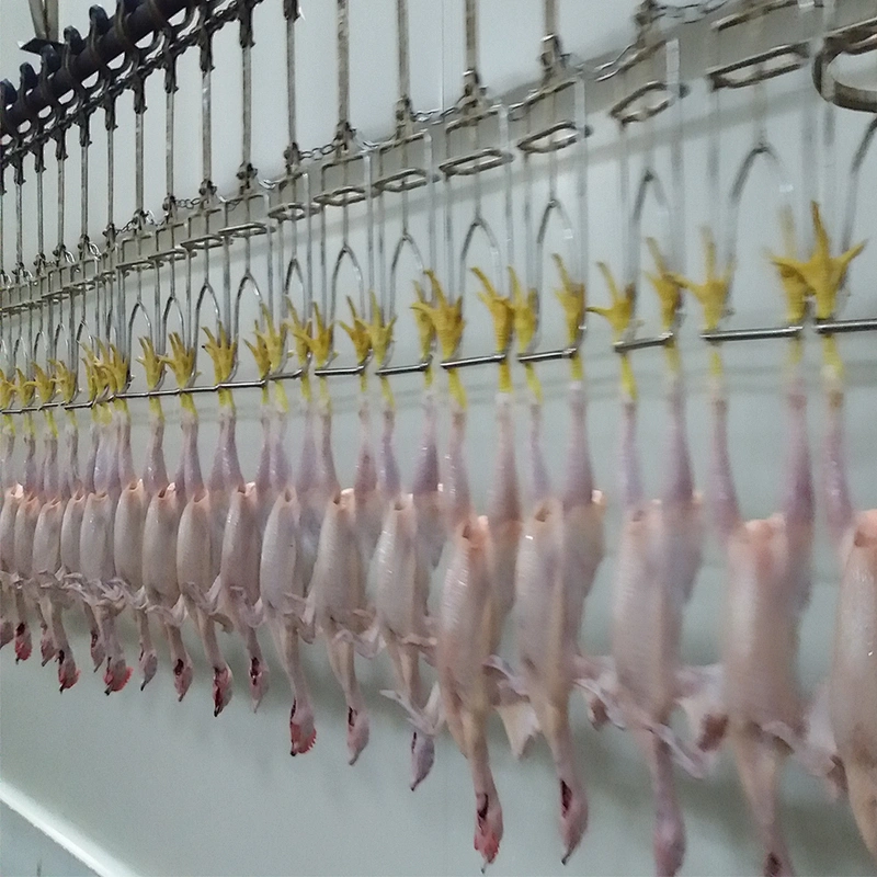 Trade assurance good quality turnkey broiler farms poultry slaughtering line