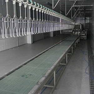 500bph halal poultry butcher processing conveyor line nylon trolley plant for broilers