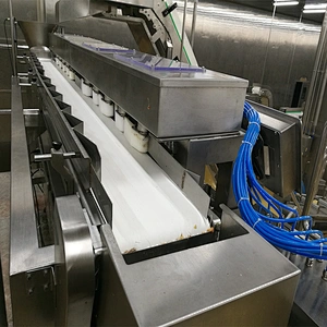 European standard new automatic poultry slaughtering packing area belt conveyor line