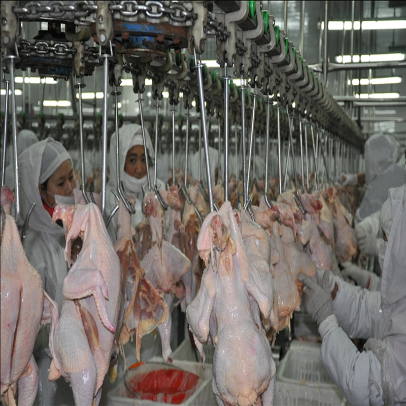 500BPH 1000BPH 3000BPH 6000BPH 12000BPH  full automatic poultry overhead slaughter house conveyor line equipment