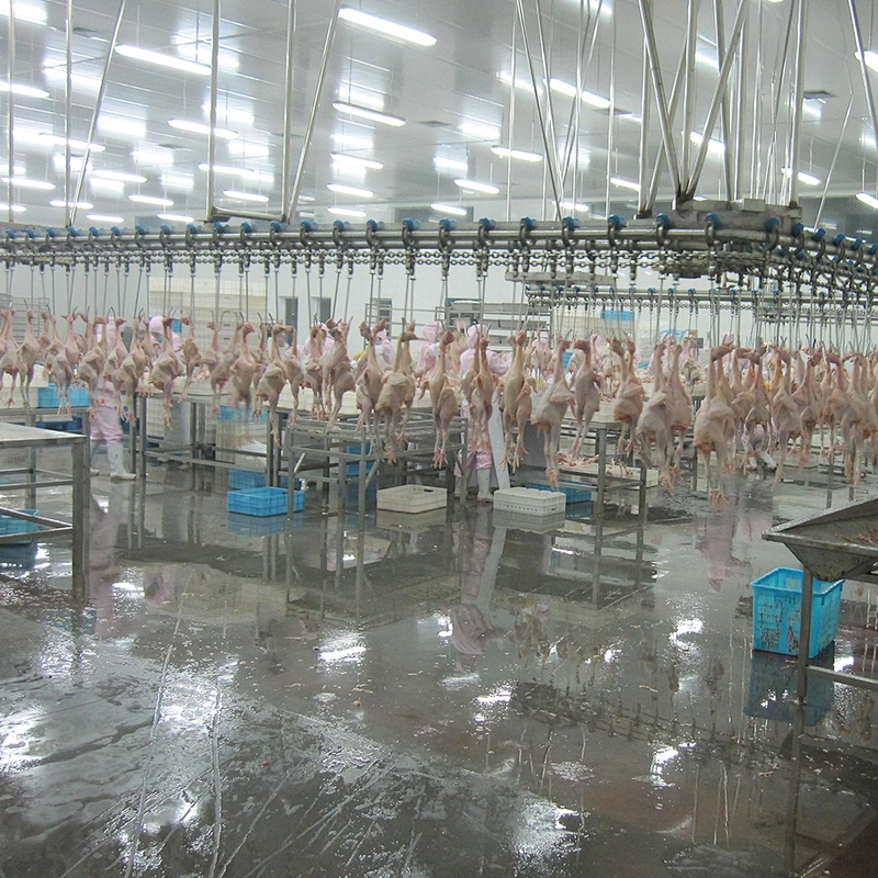 500BPH 1000BPH 3000BPH 6000BPH 12000BPH full automatic poultry halal slaughter house equipment for sale