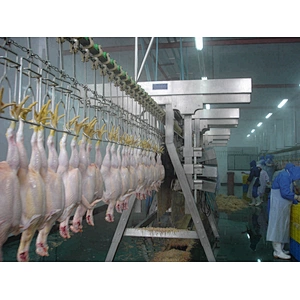 hot sale stainless steel 304 chicken processing slaughterhouse equipment