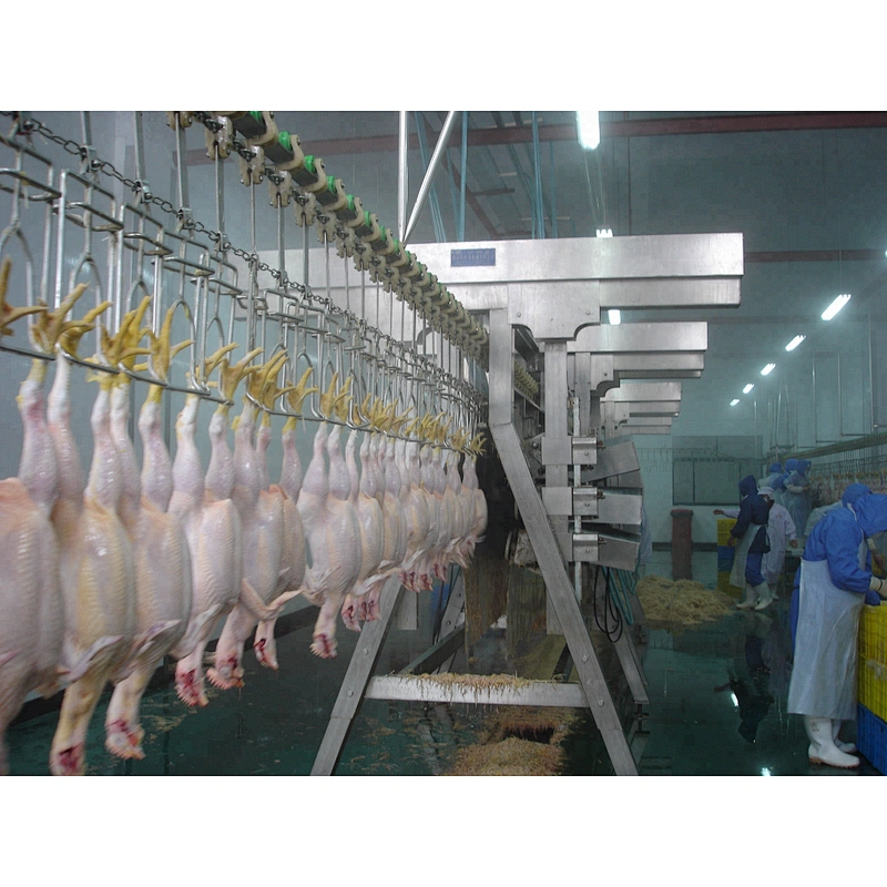 hot sale stainless steel 304 chicken processing slaughterhouse equipment