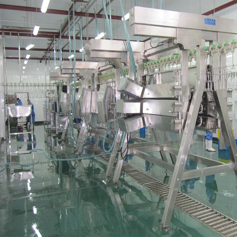 chicken processing equipment
