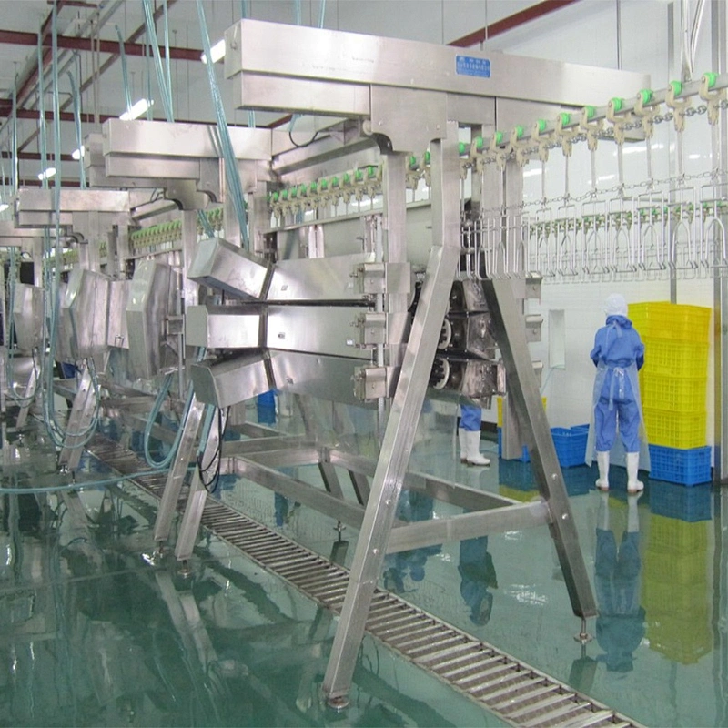 2019 high quality poultry farm broiler breeder house chicken abattoir machine