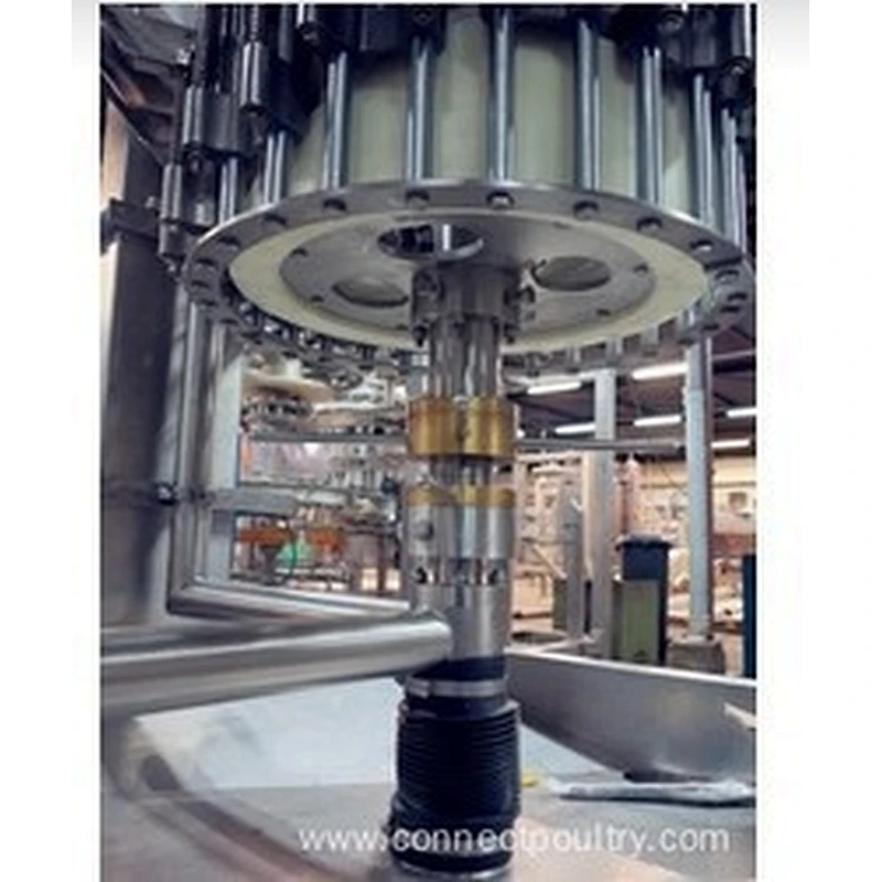 Final Inspection equipment for poultry processing Machinery