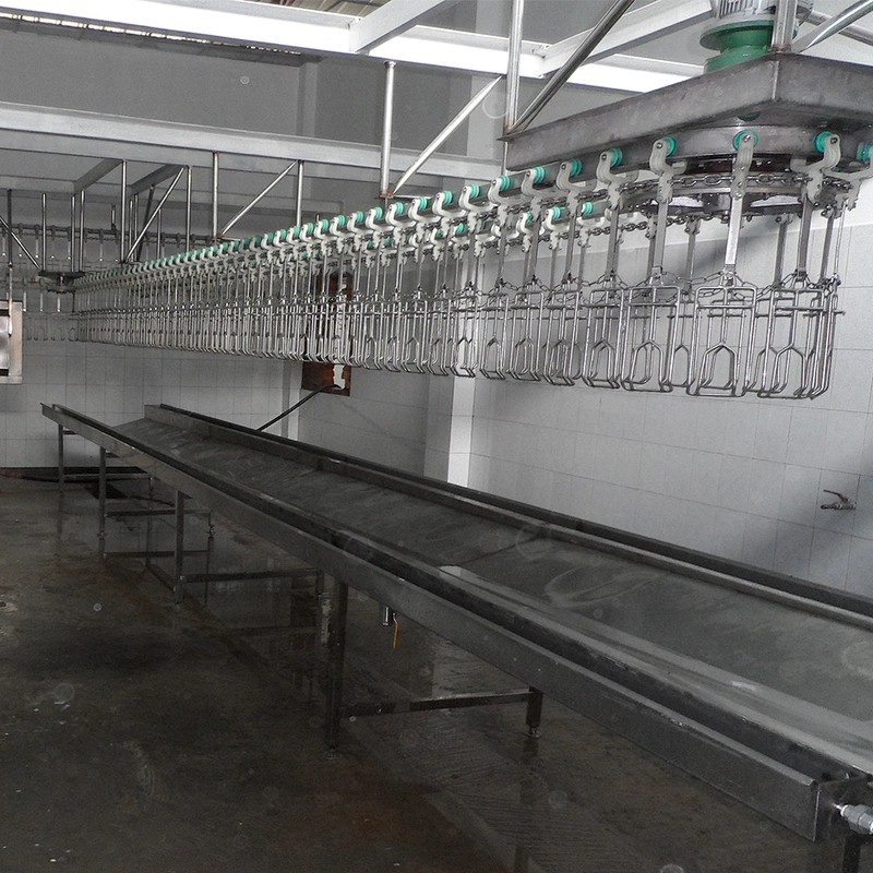 hala poultry slaughtering line
