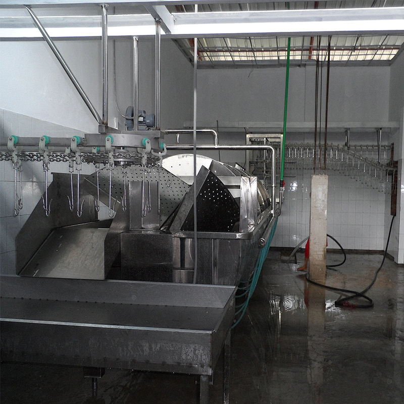 Defeathering machine
