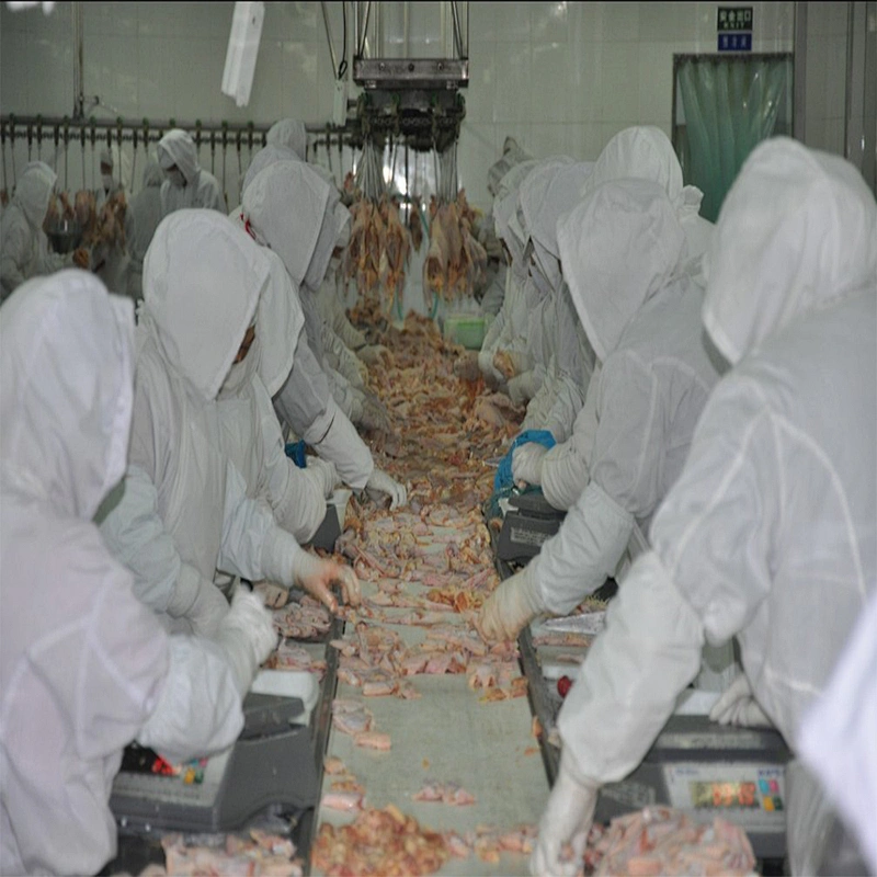 European standard new automatic poultry slaughtering packing area belt conveyor line