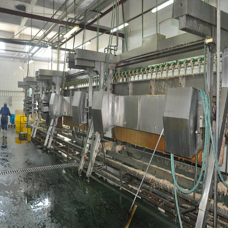 halal slaughterhouse chicken feather cleaning pluckin machine for chicken quail duck goose