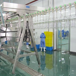 chicken processing equipment