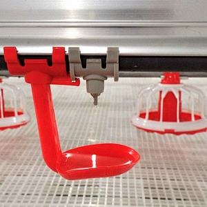 Poultry farm NIPPLE DRINKING SYSTEM