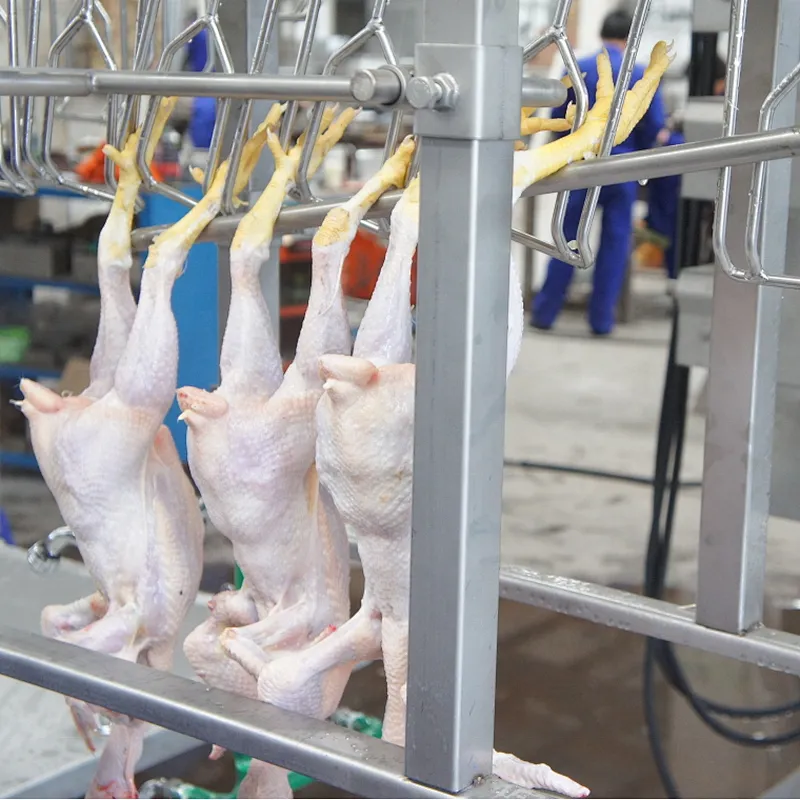 1000BPH 3000BPH 6000BPH Automatic complete Poultry processing line slaughter machinery