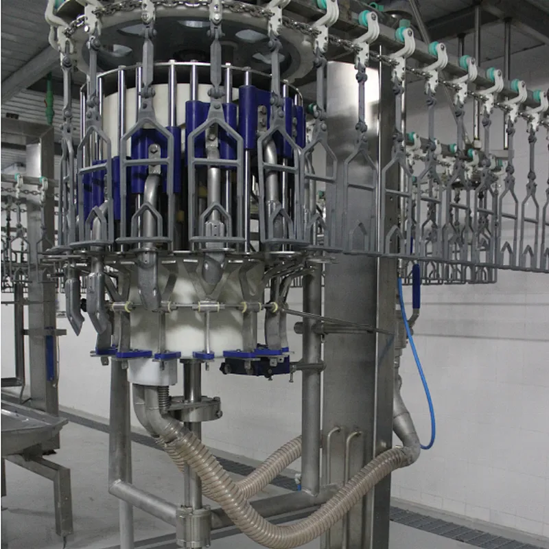 Final Inspection equipment for poultry processing Machinery