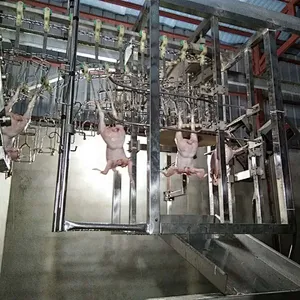 halal bird slaughter plant automatic poultry processing line unloader