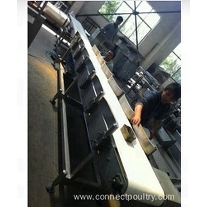 Low Price Weighing & Grading Equipment for poultry processing plant for automatic chicken slaughtering machine