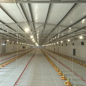 Feeding line and Drinking line for broiler chicken house equipment