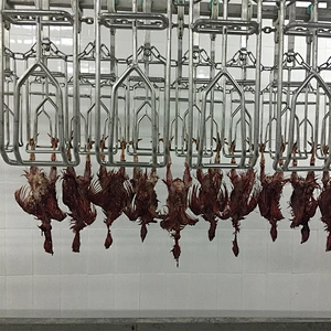 poultry slaughterhouse machine for chicken