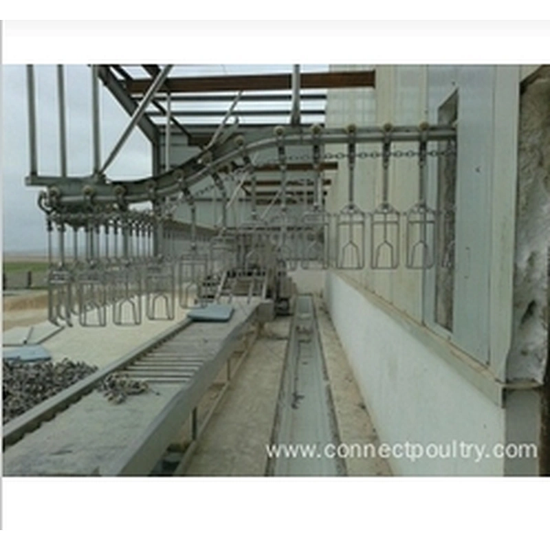 Crates conveyor for Birds receiving machine poultry processing plant equipment