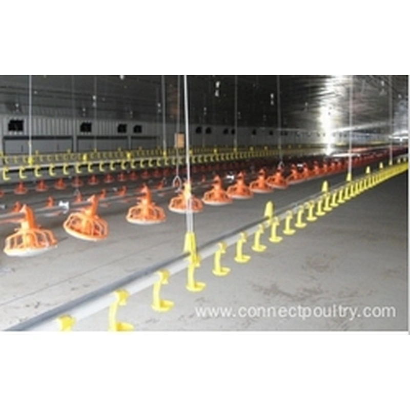 Poultry farm feeding equipment drinking line