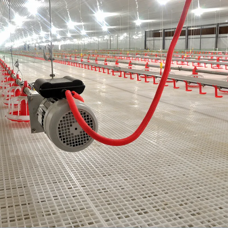 Feeding line and Drinking line for broiler chicken house equipment