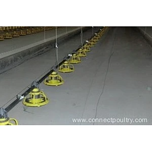 Pan Feeding for Male/ breeder shed