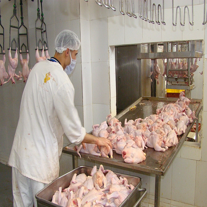 Poultry processing plant broiler cut-up sperating line packing table machine for chicken duck goose