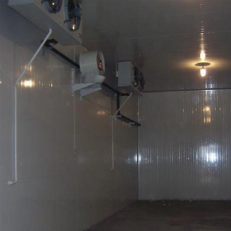 China Factory Price High Grade Air Chiller Blast Freezer Cold Storage room for meat vegetables