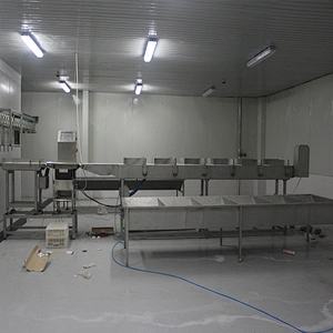 European standard new automatic poultry slaughtering belt weighing and grading machine