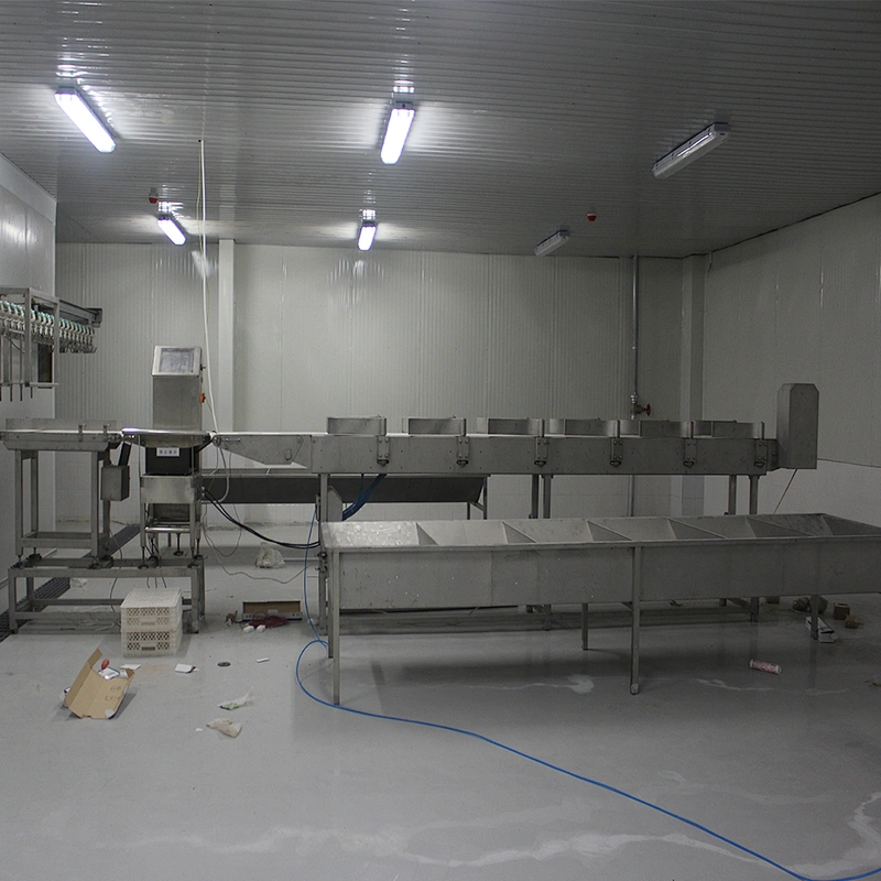 European standard new automatic poultry slaughtering belt weighing and grading machine