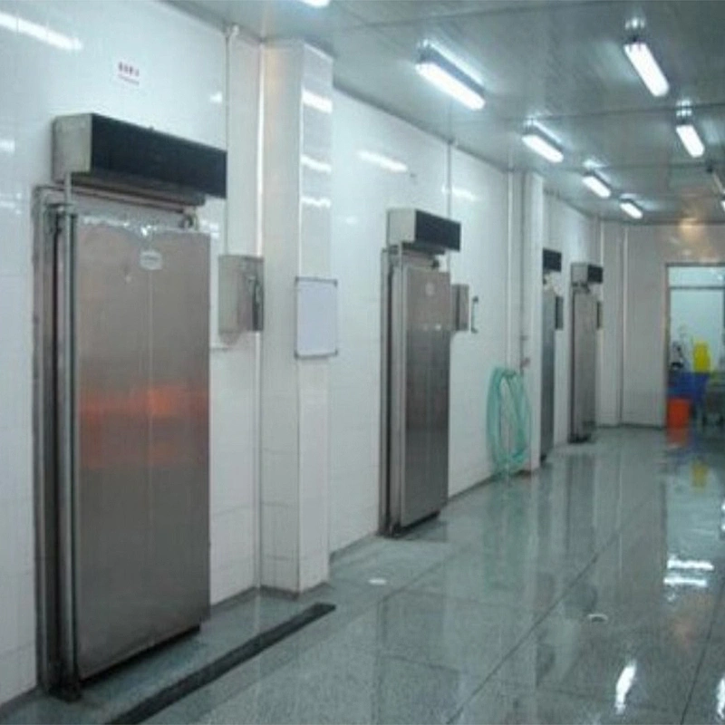 best selling commercial Professional industrial modular quick freezing cold blast freezer room machinery