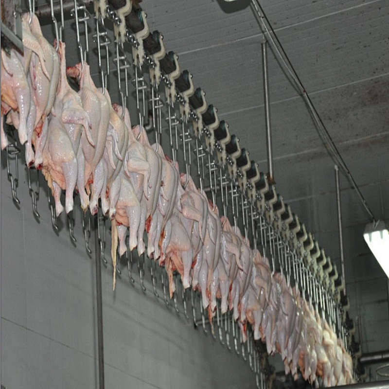 Trade assurance good quality turnkey broiler farms poultry slaughtering line