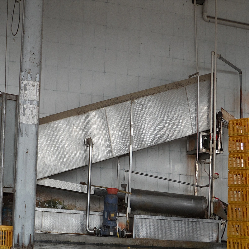 Auto Crates washing machine  for poultry slaughter plant