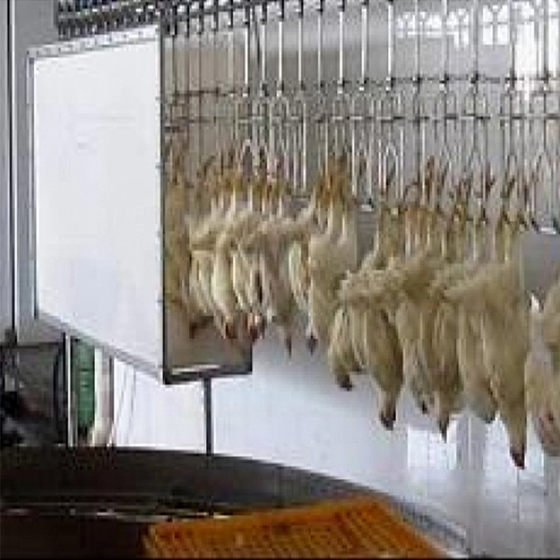 Customized Complete chicen farm turnkey project slaughterhouse processing plant stunner machinery