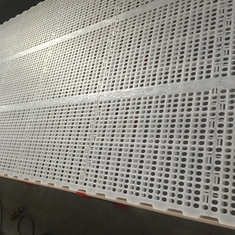 Big Chain Breeder feeding system Poultry feeding house shed equipment