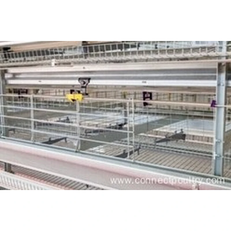 Hot Sale high quality one-stop service Automatic Feeding Egg Chicken Farm Layer Poultry Battery Cages for Farms