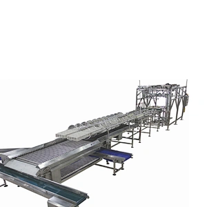 high quality full automatic egg Incubator farm front-end equipment for chicks processing line