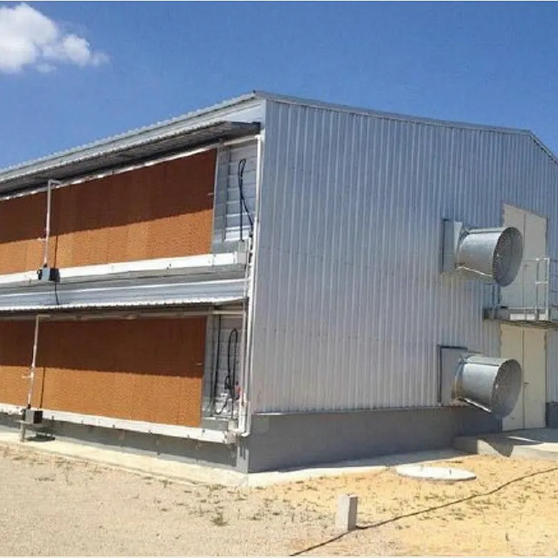 Chicken Shed Poultry Farm Ventilation Cooling PAD