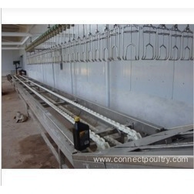 Crates Chain conveyor for Birds receiving slaughter house machine