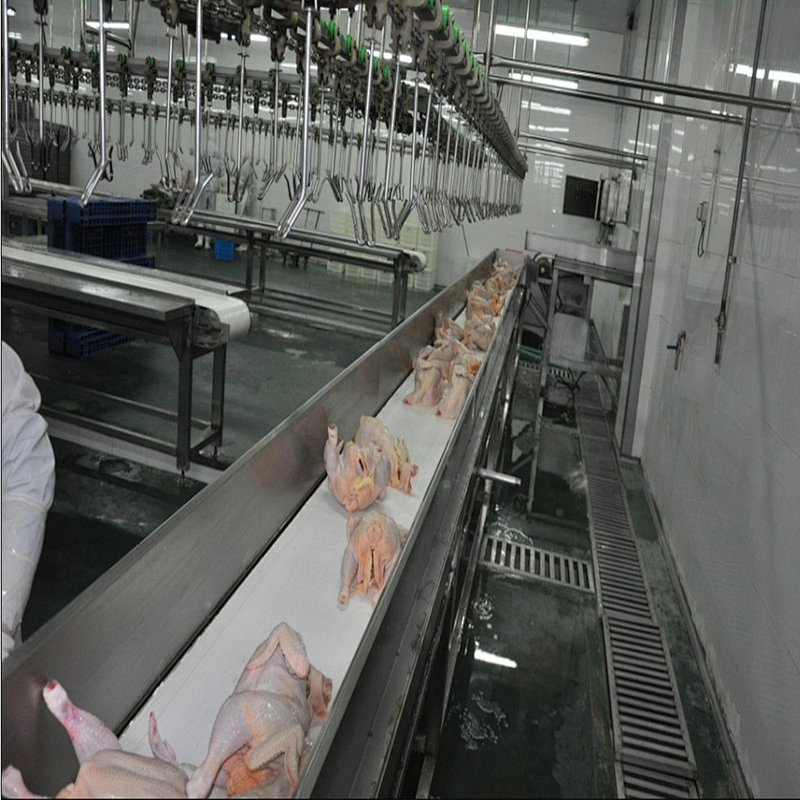 Small production 500bph chicken poultry slaughter equipment and process line